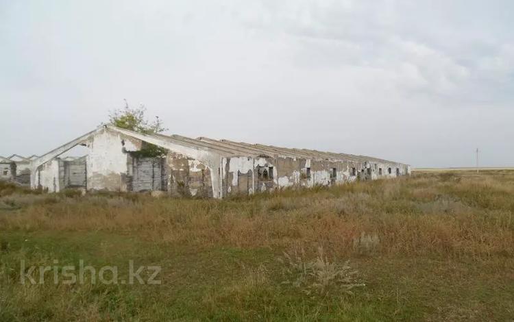 Сельское хозяйство · 1750 м² за 700 000 ₸ в Кишкенеколе — фото 2