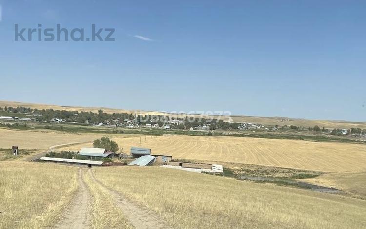 Сельское хозяйство • 150 м² за 220 млн 〒 в Узынагаш — фото 2