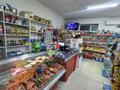 Магазины и бутики • 70 м² за 28 млн 〒 в Косшы