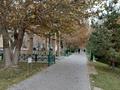 3-бөлмелі пәтер · 57 м² · 4/4 қабат, 17-й микрорайон, 17-й микрорайон 8 А — Вдоль Аллеи ,напротив Магнум., бағасы: 23 млн ₸ в Шымкенте, Аль-Фарабийский р-н — фото 3