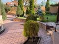 Жеке үй · 9 бөлме · 607 м² · 11 жүзд., Тарлан 24, бағасы: 455 млн ₸ в Алматы, Бостандыкский р-н — фото 9