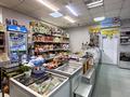 Свободное назначение, магазины и бутики · 250 м² за 80 млн ₸ в Усть-Каменогорске — фото 11