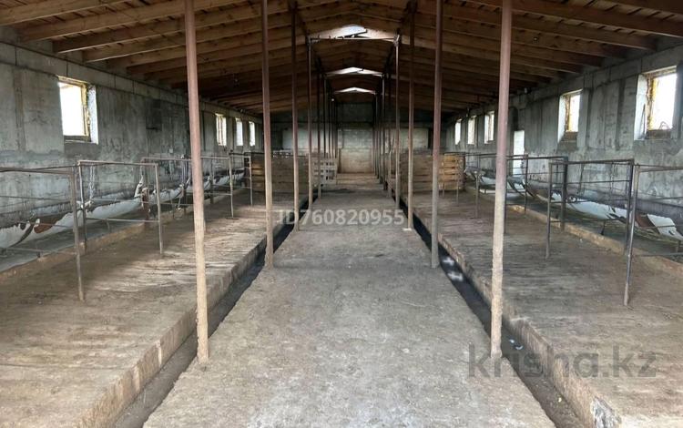 Отдельный дом · 3 комнаты · 80 м² · 20 сот., Черёмушки за 16 млн ₸ в Аксу — фото 2