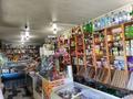 Жеке үй · 4 бөлме · 100 м² · 12 сот., Рыскулова, бағасы: 25 млн ₸ в Кордае — фото 5