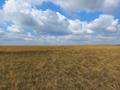 Жер телімі · 837 га, Актогайский район, Разумовский сельский округ, село Андриановка (Акжол), бағасы: ~ 7.8 млн ₸ в Павлодарской обл. — фото 14