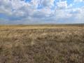Жер телімі · 837 га, Актогайский район, Разумовский сельский округ, село Андриановка (Акжол), бағасы: ~ 7.8 млн ₸ в Павлодарской обл. — фото 8