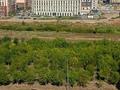 3-бөлмелі пәтер · 140 м², шахтеров 60, бағасы: 55 млн ₸ в Караганде — фото 17