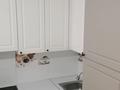 1-бөлмелі пәтер · 39 м² · 6/10 қабат, Косшыгулулы, бағасы: 30.2 млн ₸ в Астане, Сарыарка р-н — фото 7