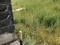 Участок · 6 соток, Алматы за 13 млн ₸