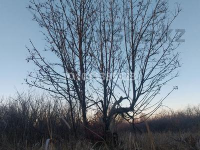Участок · 4.2 сотки, Мелиоратор 151 — 1 улица за 5 млн ₸ в Затобольске (Тобыле)