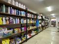 Магазины и бутики • 250 м² за 250 млн 〒 в Шымкенте, Аль-Фарабийский р-н — фото 10