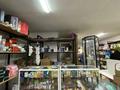 Магазины и бутики • 250 м² за 250 млн 〒 в Шымкенте, Аль-Фарабийский р-н — фото 11