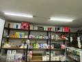 Магазины и бутики • 250 м² за 250 млн 〒 в Шымкенте, Аль-Фарабийский р-н — фото 12
