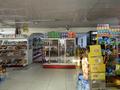 Магазины и бутики • 250 м² за 250 млн 〒 в Шымкенте, Аль-Фарабийский р-н — фото 14
