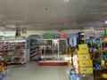 Магазины и бутики • 250 м² за 250 млн 〒 в Шымкенте, Аль-Фарабийский р-н — фото 15
