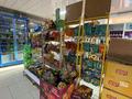Магазины и бутики • 250 м² за 250 млн 〒 в Шымкенте, Аль-Фарабийский р-н — фото 17