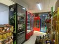 Магазины и бутики • 250 м² за 250 млн 〒 в Шымкенте, Аль-Фарабийский р-н — фото 18