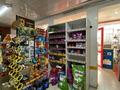 Магазины и бутики • 250 м² за 250 млн 〒 в Шымкенте, Аль-Фарабийский р-н — фото 19