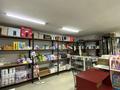 Магазины и бутики • 250 м² за 250 млн 〒 в Шымкенте, Аль-Фарабийский р-н — фото 2