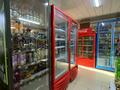 Магазины и бутики • 250 м² за 250 млн 〒 в Шымкенте, Аль-Фарабийский р-н — фото 20