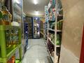 Магазины и бутики • 250 м² за 250 млн 〒 в Шымкенте, Аль-Фарабийский р-н — фото 22
