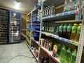 Магазины и бутики • 250 м² за 250 млн 〒 в Шымкенте, Аль-Фарабийский р-н — фото 23
