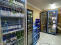 Магазины и бутики • 250 м² за 250 млн 〒 в Шымкенте, Аль-Фарабийский р-н — фото 24