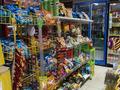 Магазины и бутики • 250 м² за 250 млн 〒 в Шымкенте, Аль-Фарабийский р-н — фото 25