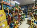 Магазины и бутики • 250 м² за 250 млн 〒 в Шымкенте, Аль-Фарабийский р-н — фото 26