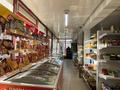Магазины и бутики • 250 м² за 250 млн 〒 в Шымкенте, Аль-Фарабийский р-н — фото 3