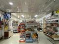 Магазины и бутики • 250 м² за 250 млн 〒 в Шымкенте, Аль-Фарабийский р-н — фото 30
