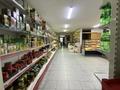 Магазины и бутики • 250 м² за 250 млн 〒 в Шымкенте, Аль-Фарабийский р-н — фото 31
