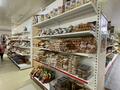 Магазины и бутики • 250 м² за 250 млн 〒 в Шымкенте, Аль-Фарабийский р-н — фото 37
