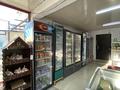 Магазины и бутики • 250 м² за 250 млн 〒 в Шымкенте, Аль-Фарабийский р-н — фото 5