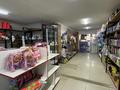 Магазины и бутики • 250 м² за 250 млн 〒 в Шымкенте, Аль-Фарабийский р-н — фото 8