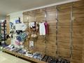 Магазины и бутики • 250 м² за 250 млн 〒 в Шымкенте, Аль-Фарабийский р-н — фото 9