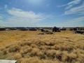 Участок · 10 соток, Касымбек Датка — Асил арык за 12 млн ₸ в Шымкенте — фото 16