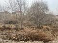 Участок · 6.1 сотка, Суртай бурашев за 7.5 млн ₸ в Каскелене — фото 3