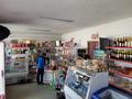 Магазины и бутики • 100 м² за 18 млн 〒 в Бирлике — фото 9
