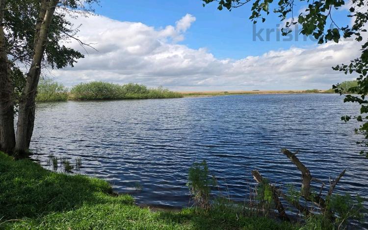 Жер телімі · 108 га, Жибек жолы, бағасы: 33 млн ₸ — фото 2
