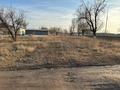 Участок · 28 соток, Жибек жолы 500 б за 35 млн ₸ в Кордае — фото 5
