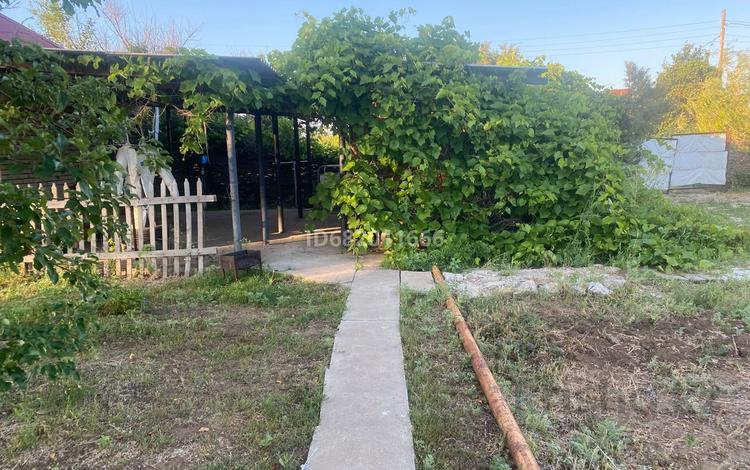 Дача · 2 комнаты · 50 м² · 11 сот., Сокол 119 за 10 млн 〒 в Жаик-2 — фото 31