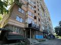 Еркін · 104 м², бағасы: 53 млн ₸ в Алматы, Алмалинский р-н — фото 13