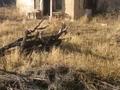 Участок · 7.5 соток, Карасай, ПКСТ Алмалы 75 — С. Алмалыбак, ПКСТ Алмалы, уч. 74 за 5 млн ₸ в Алматинской обл. — фото 3