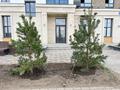 Свободное назначение · 70 м² за 490 000 ₸ в Караганде, Алихана Бокейханова р-н — фото 11