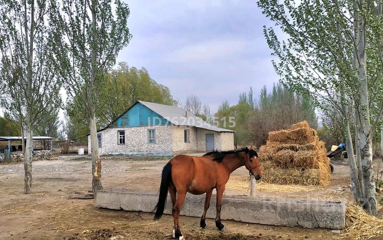 Участок · 1500 соток, Жидели — Жиделі за ~ 9.8 млн 〒 в Жетысу обл. — фото 3