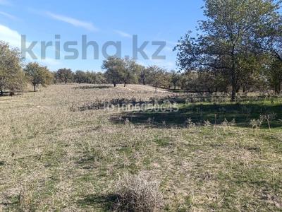 Участок · 4 га, Конаев (Капчагай) за 94 млн 〒