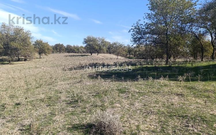 Участок · 4 га, Пром зона Арна за 94 млн ₸ в Конаеве — фото 2