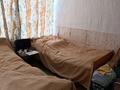 Дача · 2 комнаты · 25 м² · 18 сот., СТ Тайфи за 8 млн 〒 в Акши (Енбекшиказахском районе) — фото 4