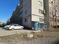 Еркін · 117 м², бағасы: 17 млн ₸ в Актобе, мкр Жилгородок — фото 9